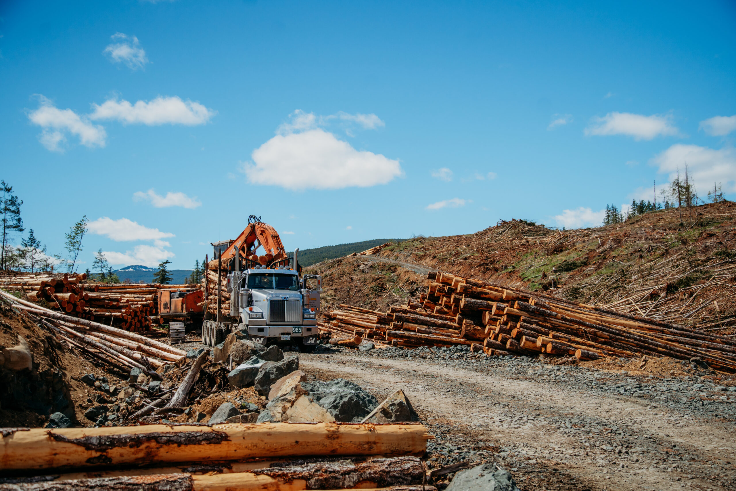 Tahtsa Group forestry, logging, and timber operations in Northern BC