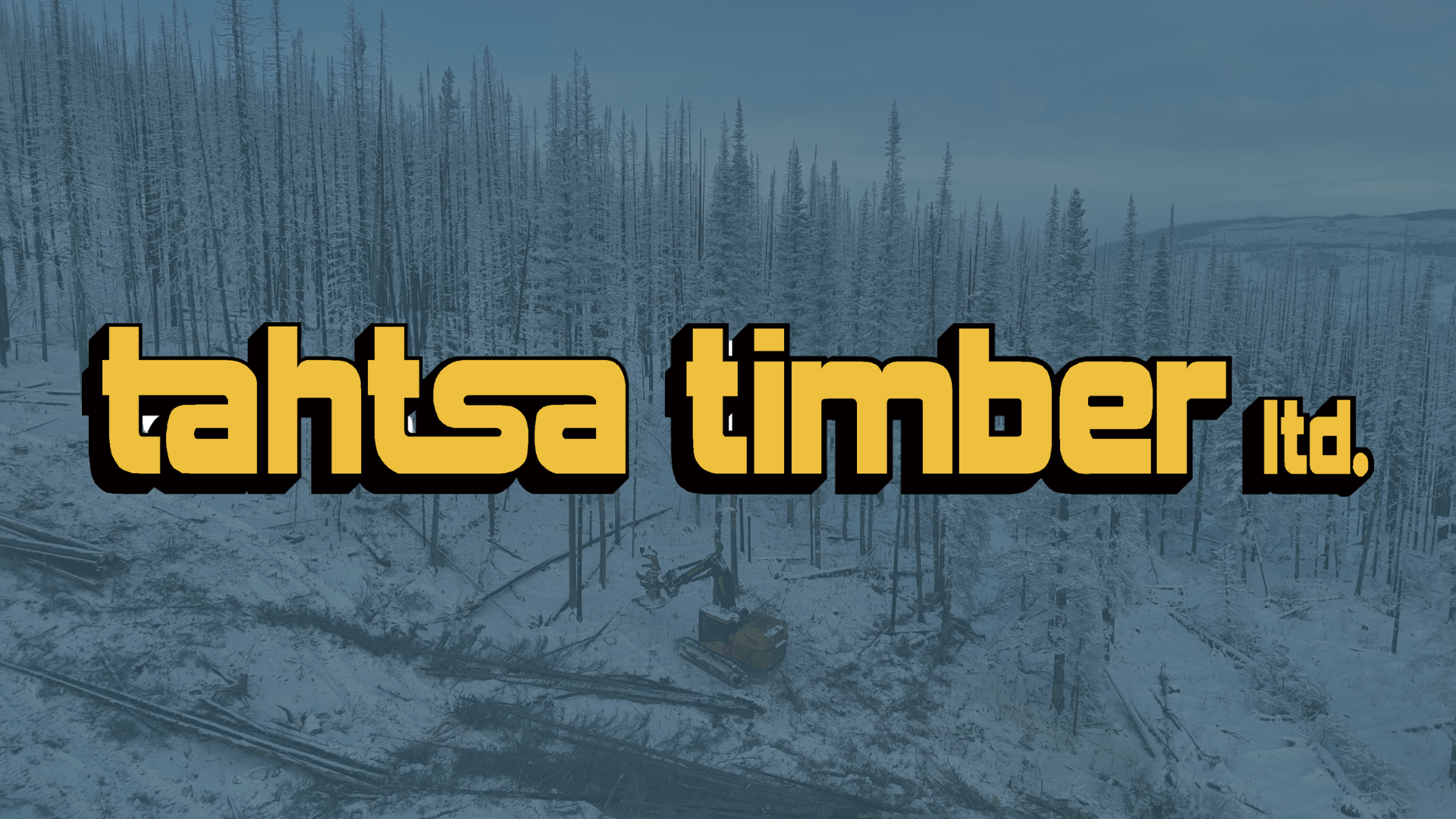 Logging and timber harvesting operations by Tahtsa Timber in Northern BC