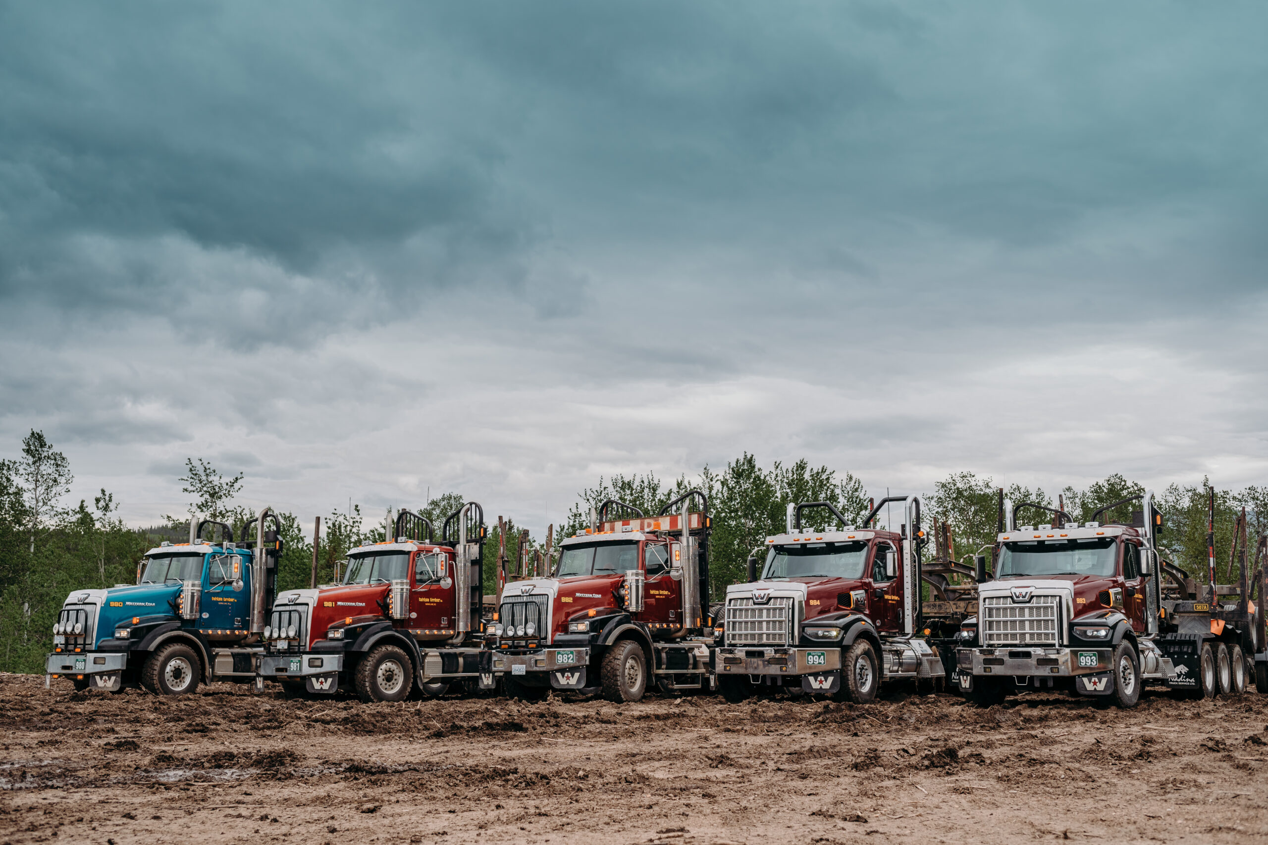 Tahtsa Group logging operations in Northern BC forestry industry